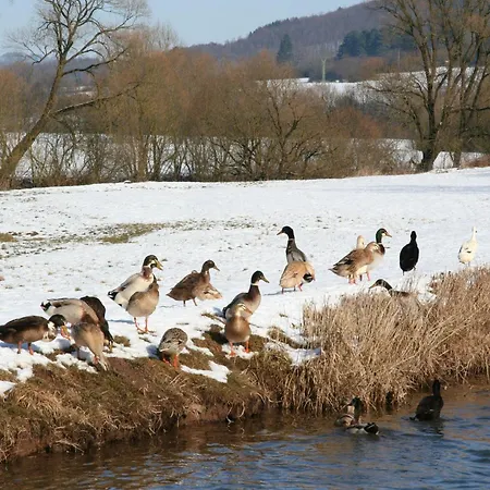 דירה Im-pruemtal *